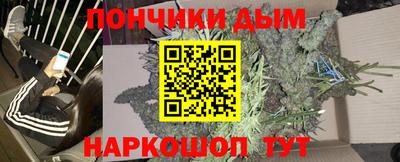дурь Камышлов