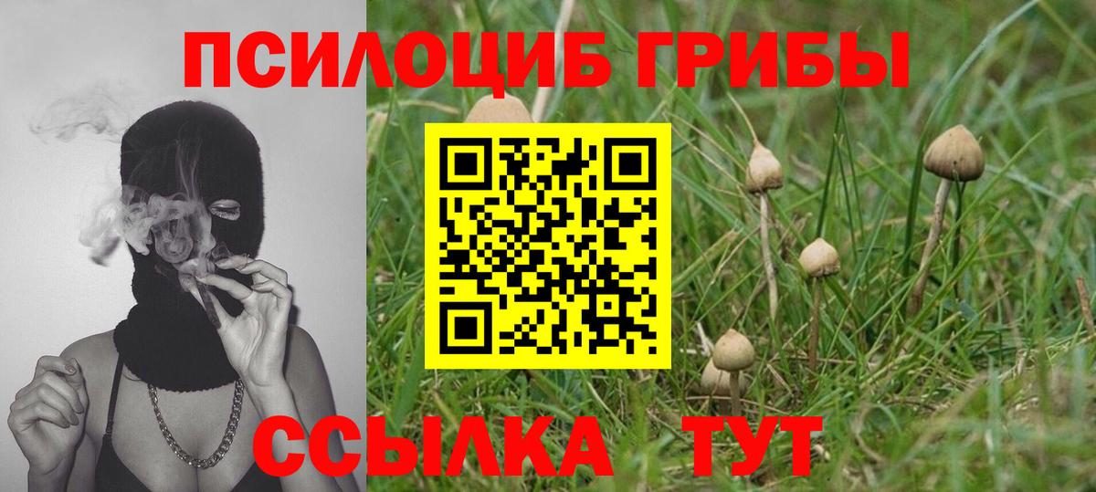 Трёхгорный  Псилоцибиновые грибы мицелий  Вход с VPN  Псилоцибиновые грибы Magic Shrooms 
